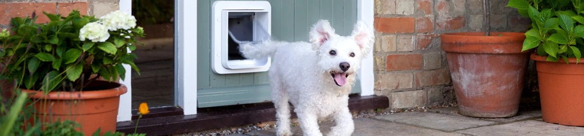 Microchip dog flap sales uk