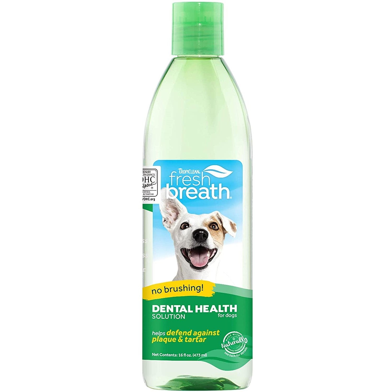 Dog bad sale breath uk