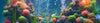 Aquarium Backgrounds