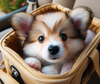 Puppy Carrier Backpacks