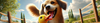 Duck Dog Toys