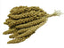 Superpet Premium Yellow Millet Sprays