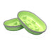 Sureflap Slow Feeder Bowl - Green - 2 Pack (NEW)