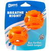 Chuckit Breathe Right Fetch Ball Medium (2Pk) - Superpet Limited