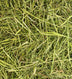 Friendly Timothy ReadiGrass 1kg - Superpet Limited