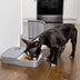 PetSafe Automatic 2 Meal Pet Feeder - Superpet Limited