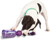 PetSafe Busy Buddy Tug-a-Jug (Medium/Large) - Superpet Limited