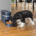 PetSafe Smart Feed Automatic Pet Feeder - Superpet Limited