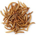 Superpet Dried Mealworms For Birds - Superpet Limited