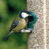 Superpet Premium Sunflower Hearts For Wild Birds - Superpet Limited